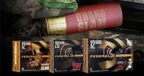 Federal Struttin Savings 2025