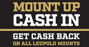 Mount Up Cash In