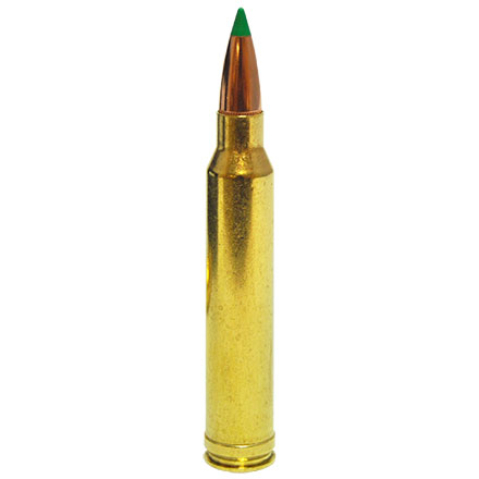 300 Winchester Mag 180 Grain Ballistic Tip 20 Rounds