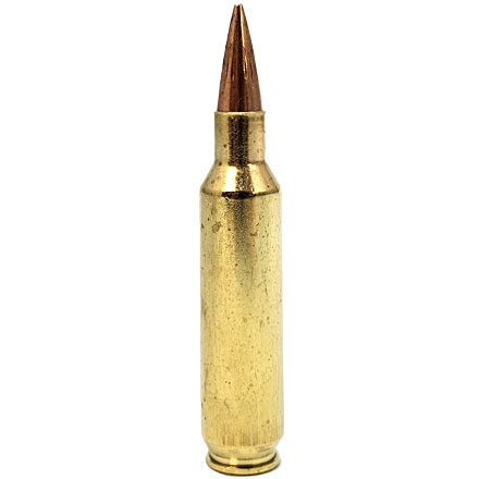 22 Nosler 70 Grain RDF Hollow Point Boat Tail Match Grade 20 Rounds